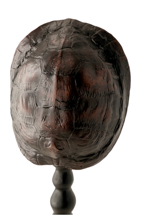 Tortoise Shell Sculpture 10”
