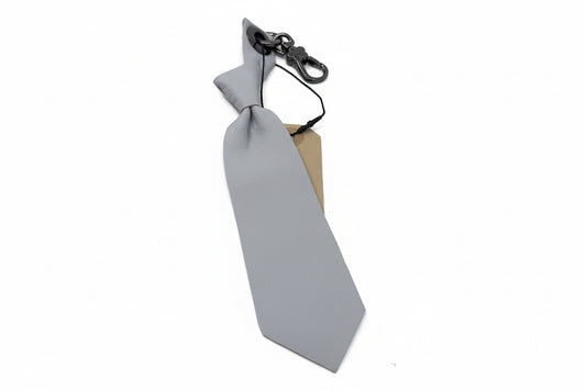 Gray necktie with a clip on a white background